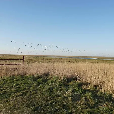 C11526-hemmet-lappedykkervaenget-24 Hébergement de vacances Hemmet
